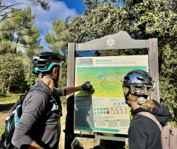 Randonnée avec guide dans les Montagne Sainte-Victoire