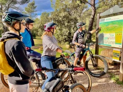Visite guidée  dans les Montagne Sainte-Victoire